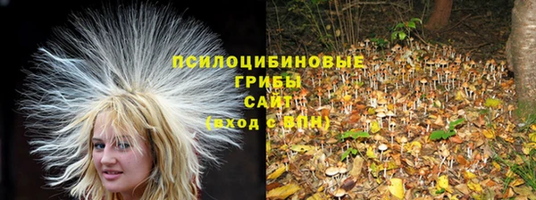 амф Алексеевка